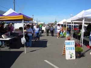 Busy day at the Grand Rapids MN, Farmers Market